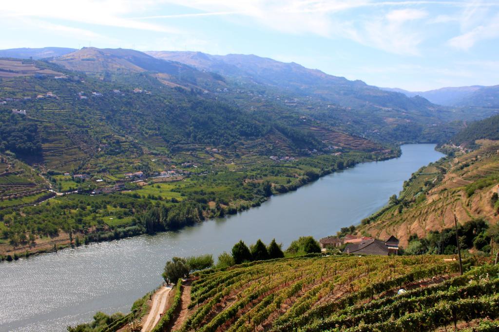 Camping Lamego Douro Valley Eksteriør billede