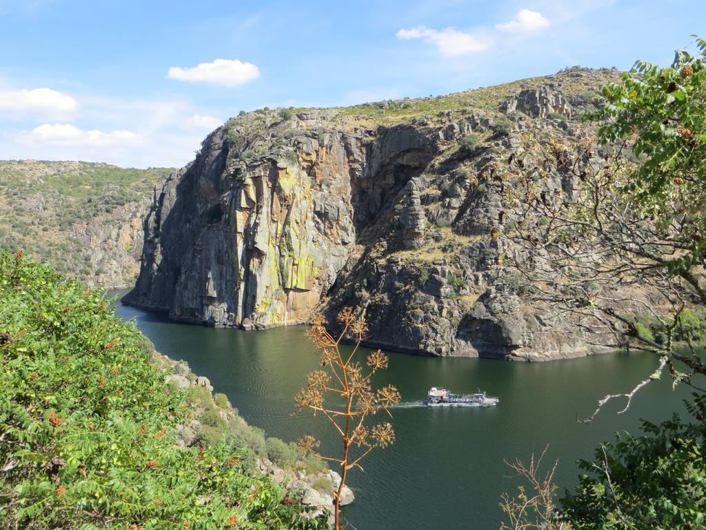 Camping Lamego Douro Valley Eksteriør billede