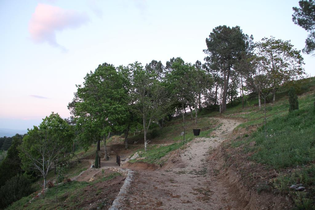 Camping Lamego Douro Valley Eksteriør billede