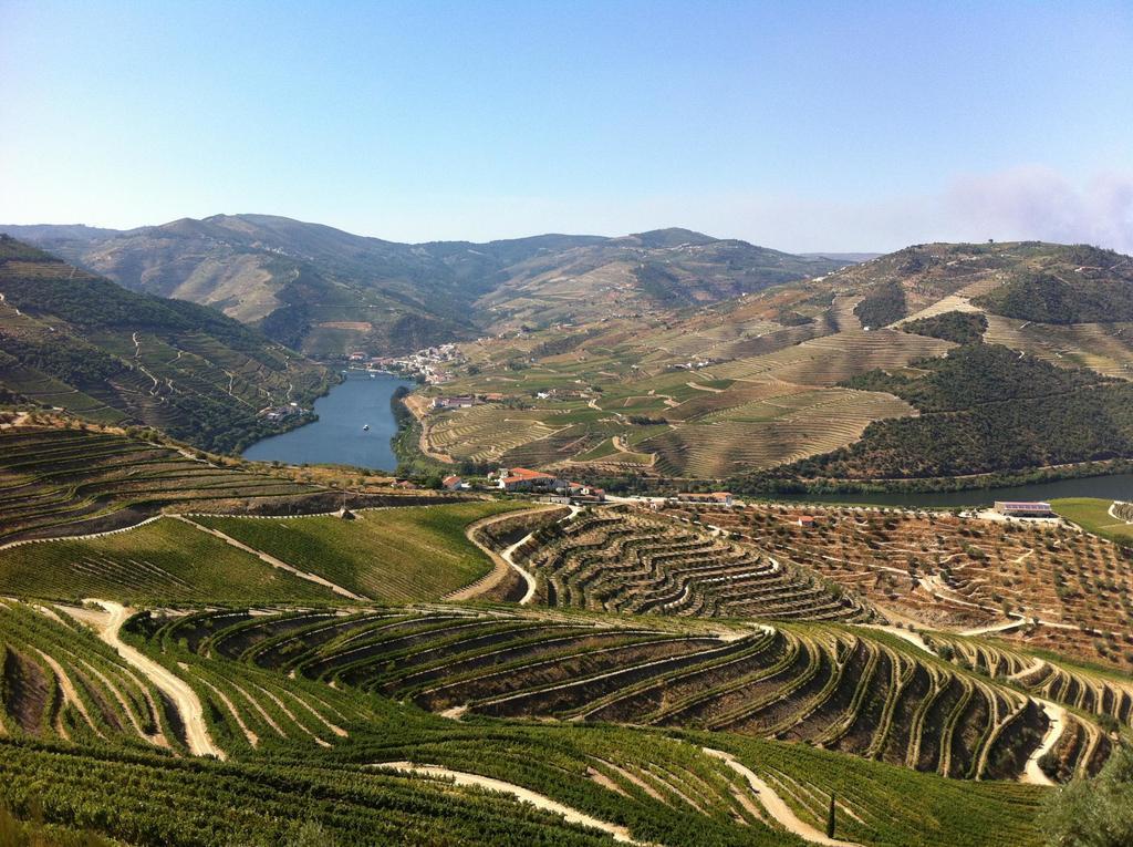 Camping Lamego Douro Valley Eksteriør billede